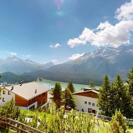 Tinus 58 Saint-Moritz